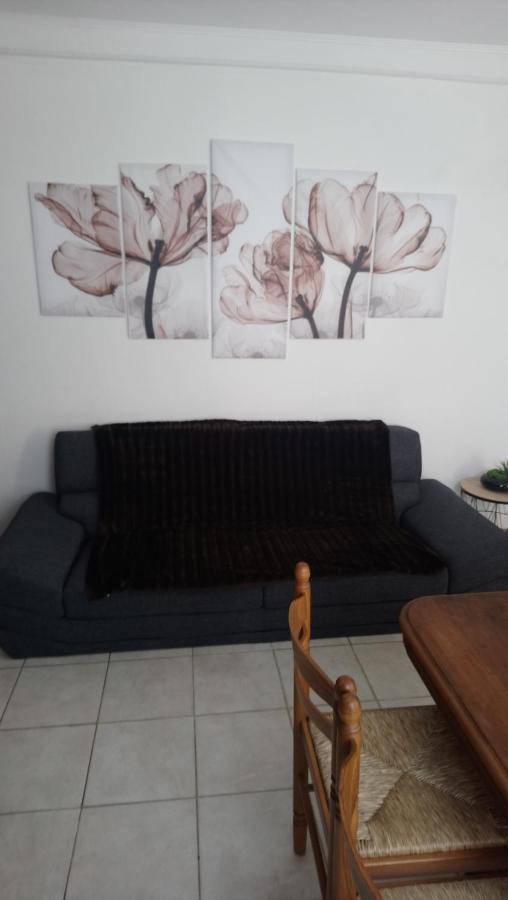 50 M Ocean Maison Classee 2 Etoiles 2/7 Personnes Mimizan Luaran gambar